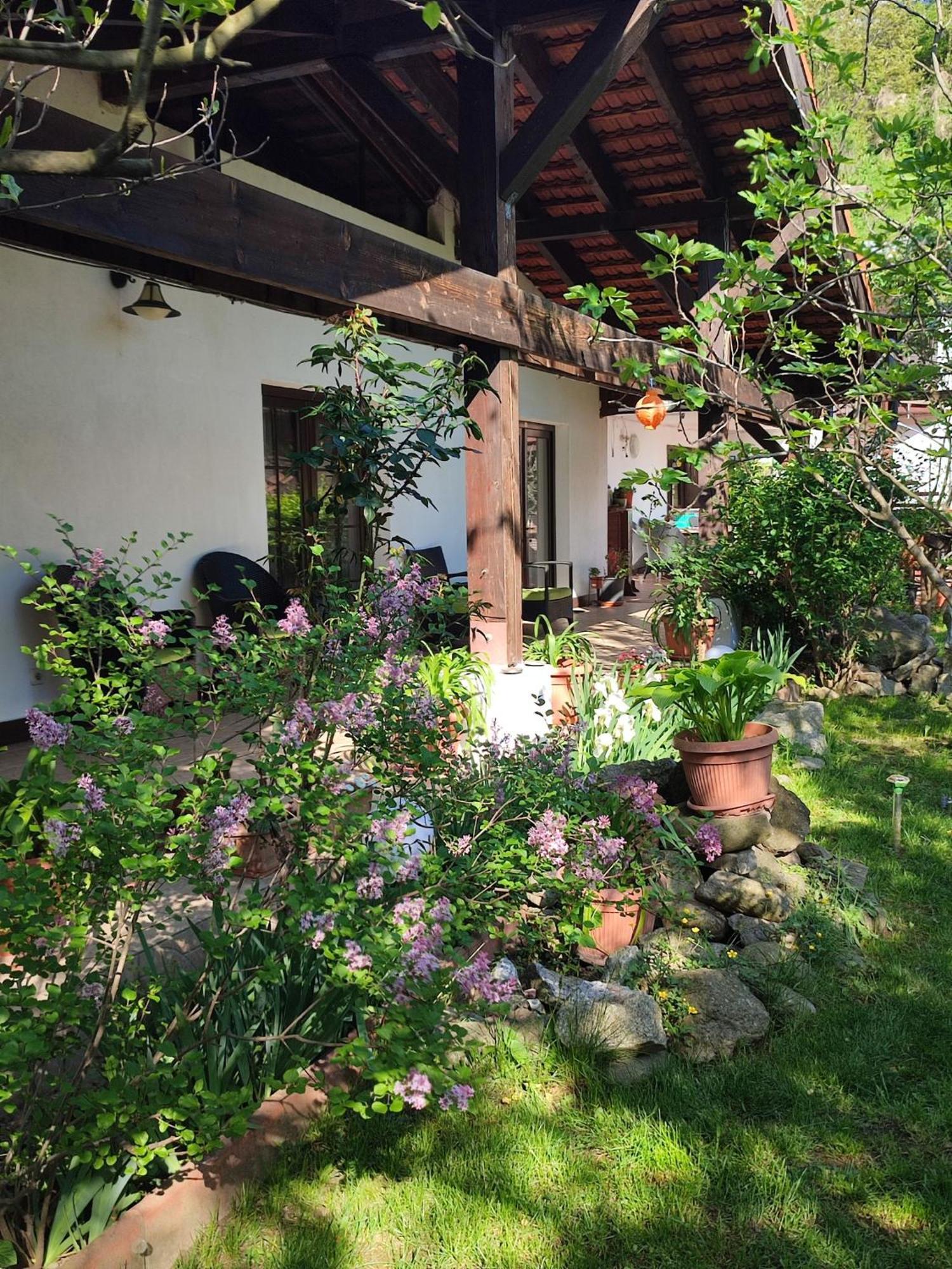 Pensiunea La Dolce Vita Băile Herculane Dış mekan fotoğraf