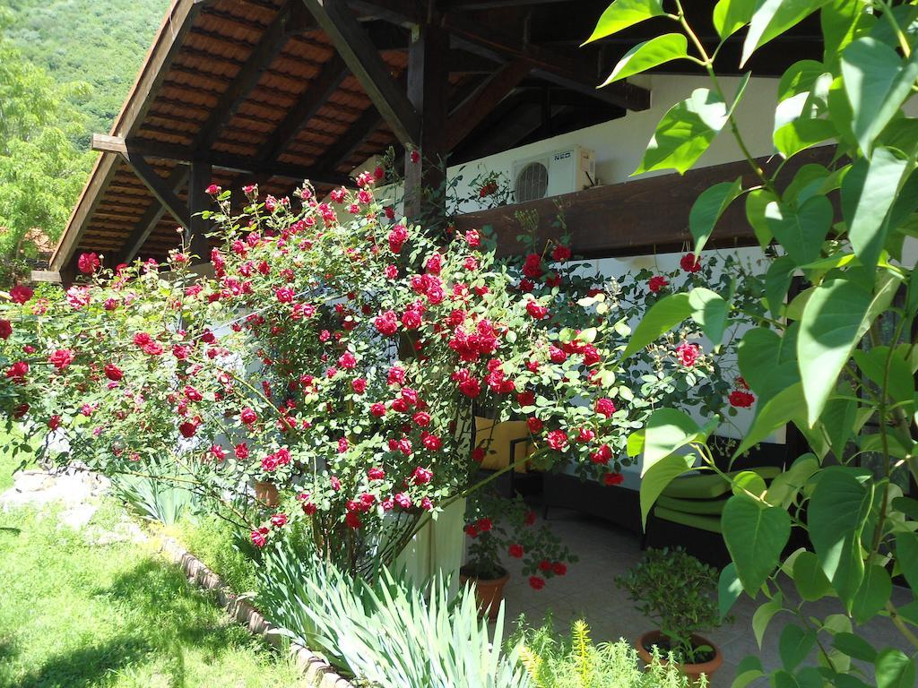 Pensiunea La Dolce Vita Băile Herculane Dış mekan fotoğraf